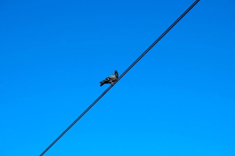 Sky high voltage electric