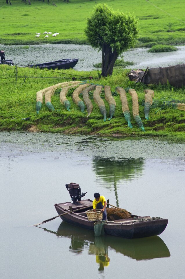 Wetlands natural the original ecology