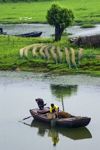 Wetlands natural the original ecology