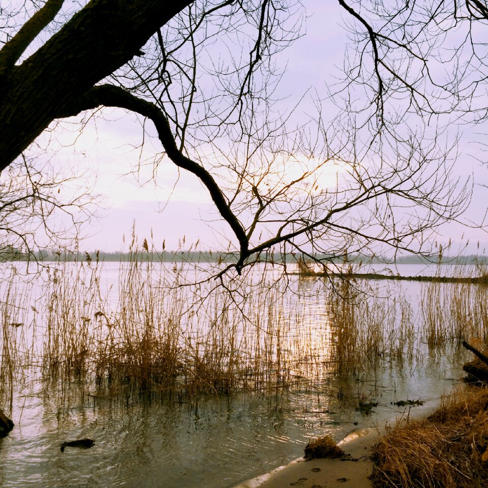 Natural water landscape flow