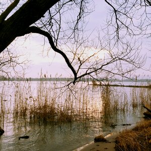 Natural water landscape flow