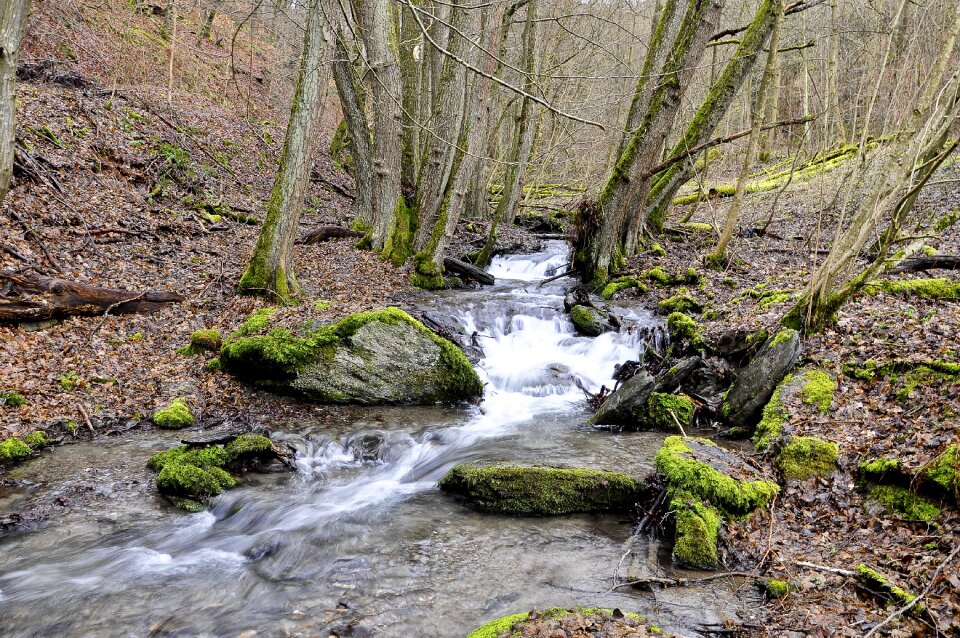 Landscape flow stones