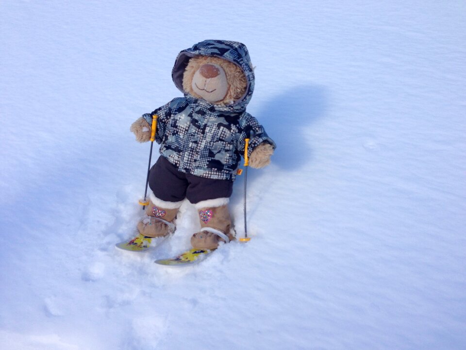 Snow toy winter