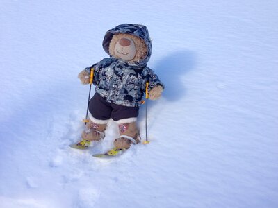 Snow toy winter