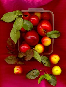 Natural health vitamin food