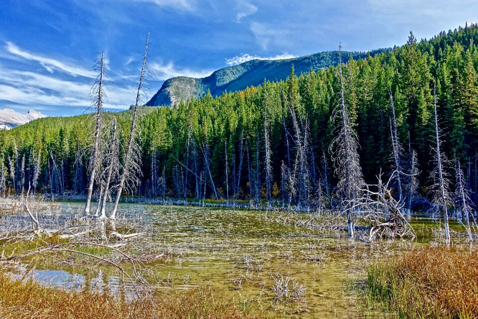 Outdoor scenery natural