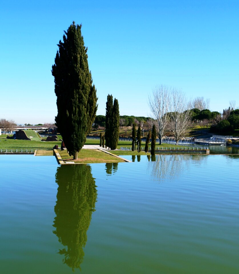 Lake cypress reflection