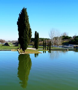 Lake cypress reflection photo