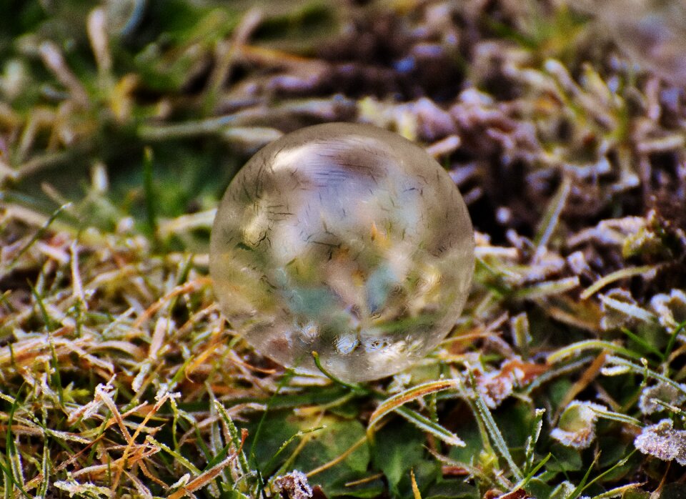 Frozen bubble cold wintry