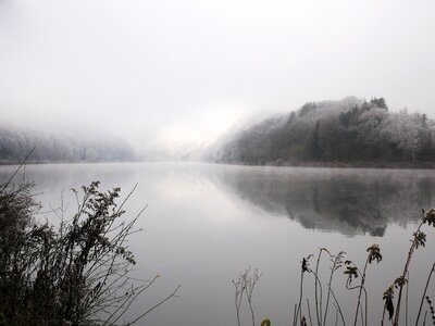 Germany nature water photo