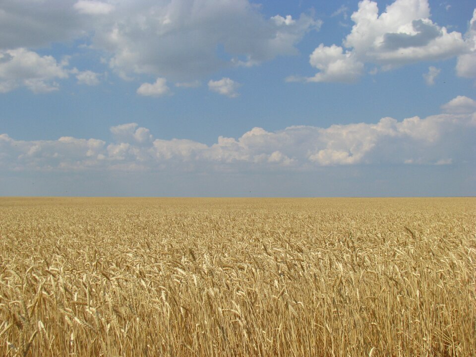 Summer horizon sky