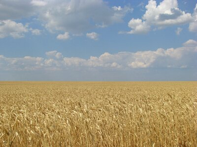 Summer horizon sky