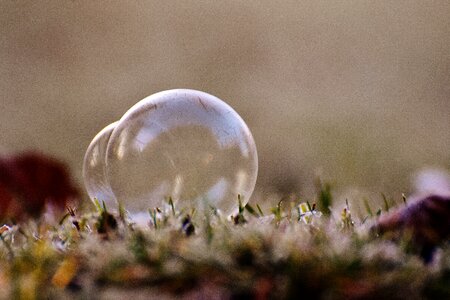 Frozen bubble cold wintry