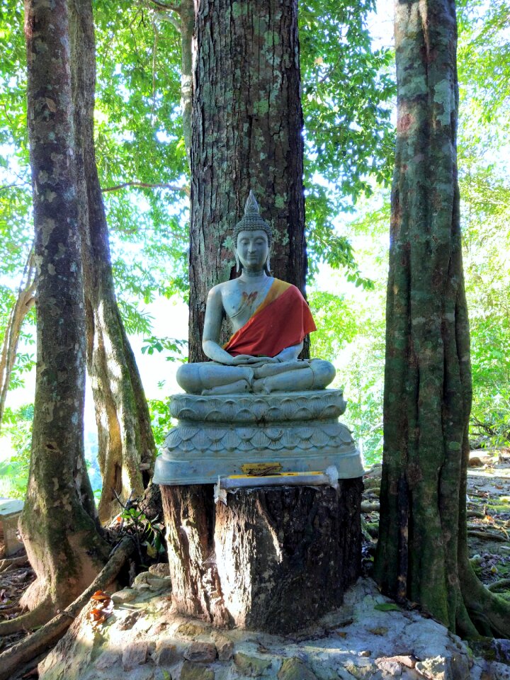 Thailand buddhist meditation