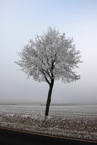 Frozen frost eiskristalle