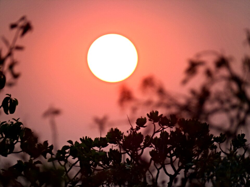 Red sol by sunsets