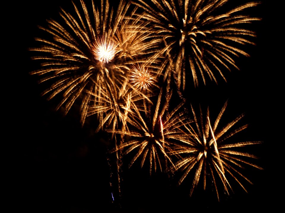 New year's eve fireworks sky