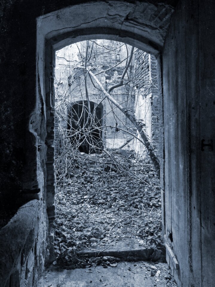 Terror abandoned happy