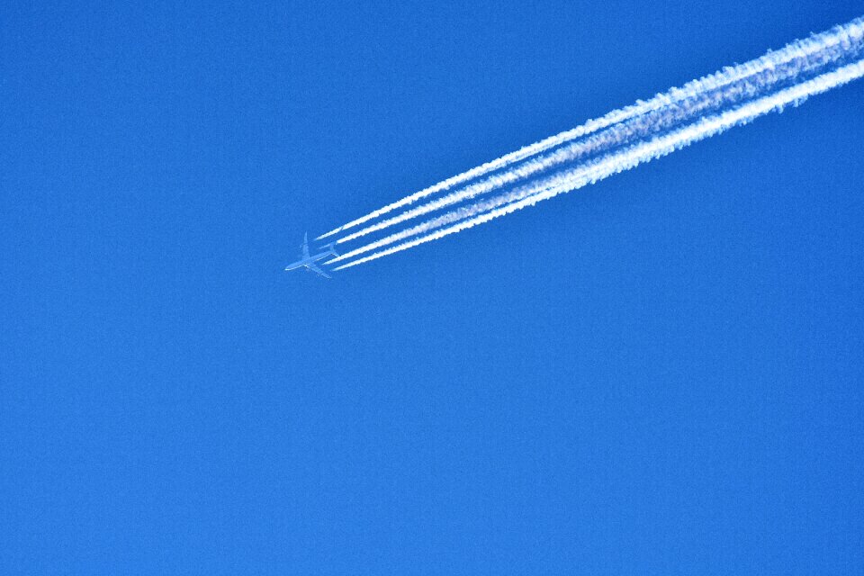 Flying flight blue photo