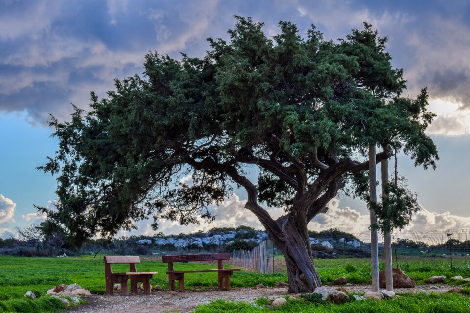 Lonely landscape nature