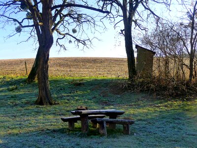 Colors frost winter mood