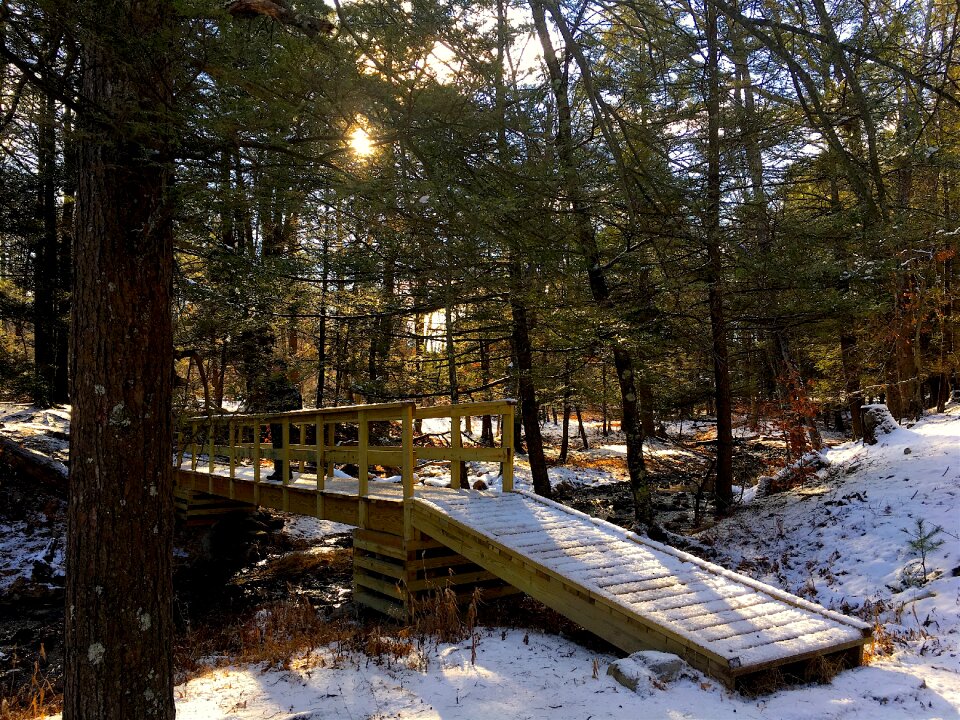 Park winter nature