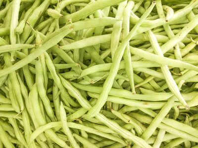 Green bean bean