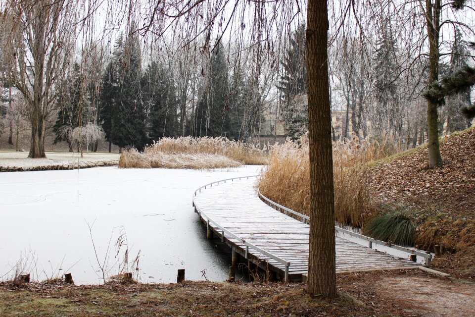 Reed park frostbite