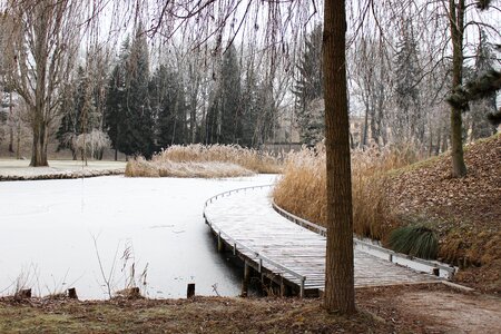 Reed park frostbite photo