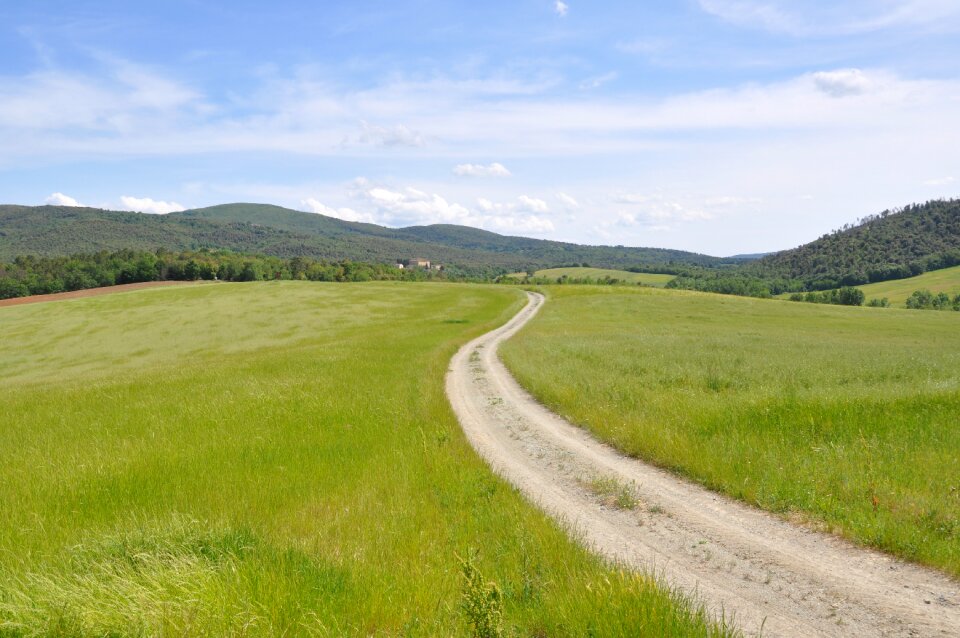 Siena landscape nature