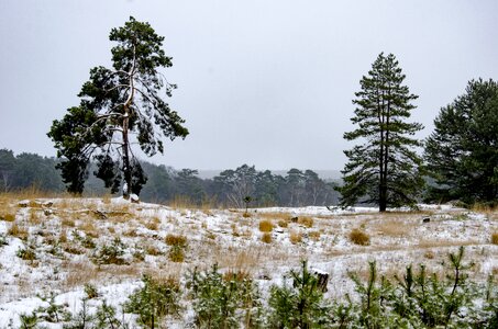 Landscape nature winter landscape