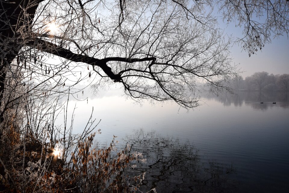 Cold wintry landscape photo