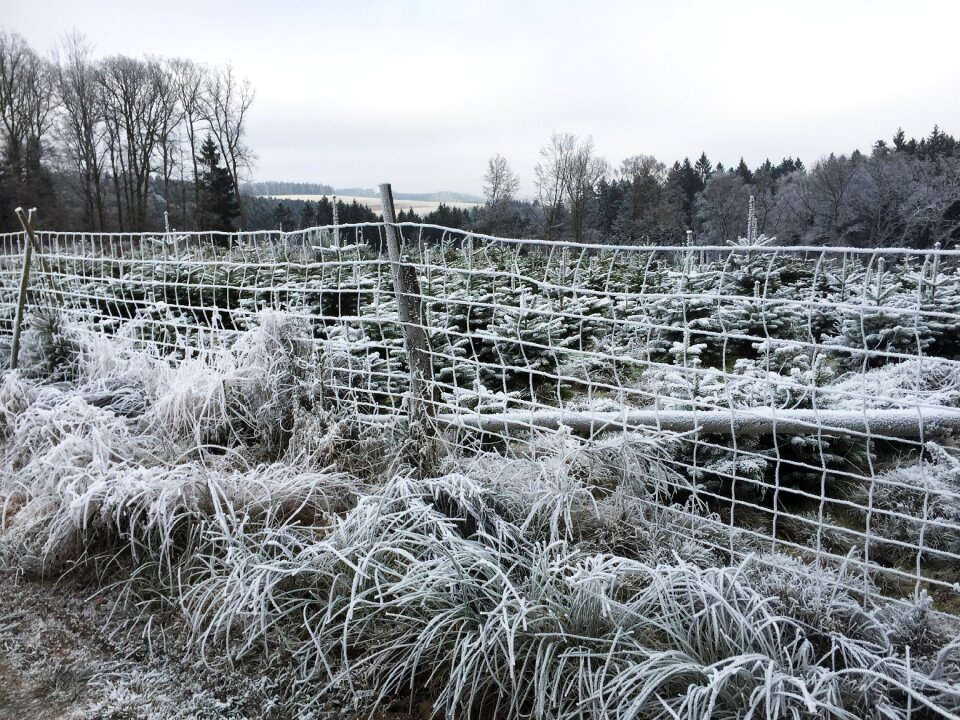 Snow nature oesling