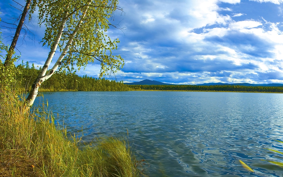 Lake sea nature
