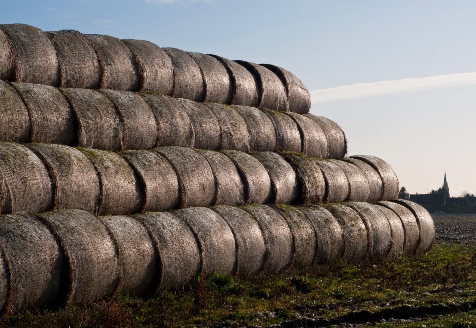 Agriculture hay harvest