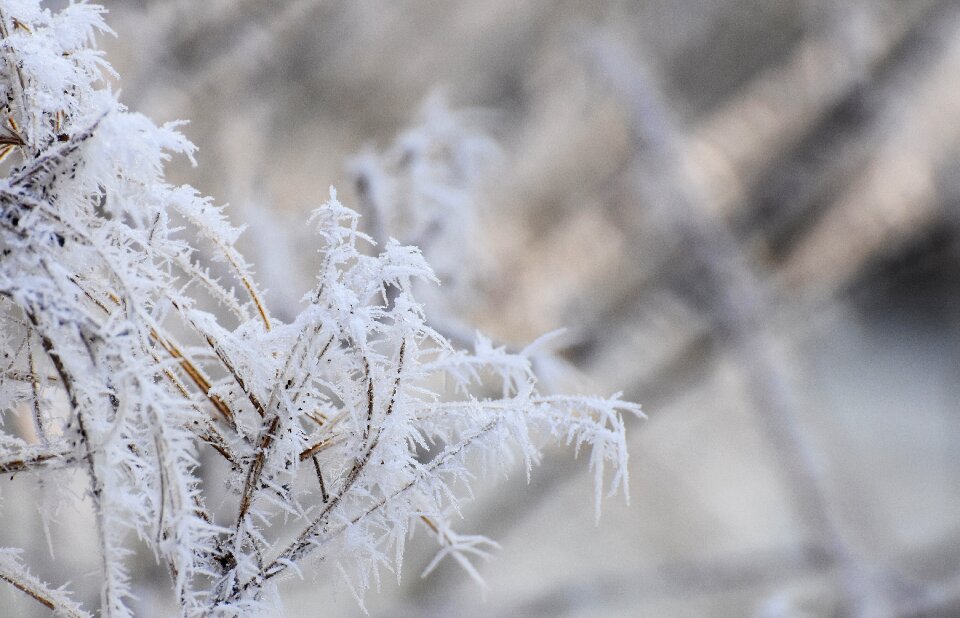 Winter magic wintry cold photo