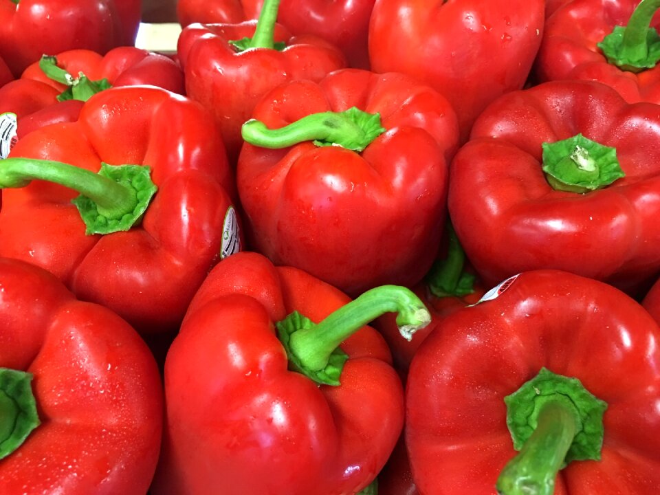 Bell peppers green crops photo