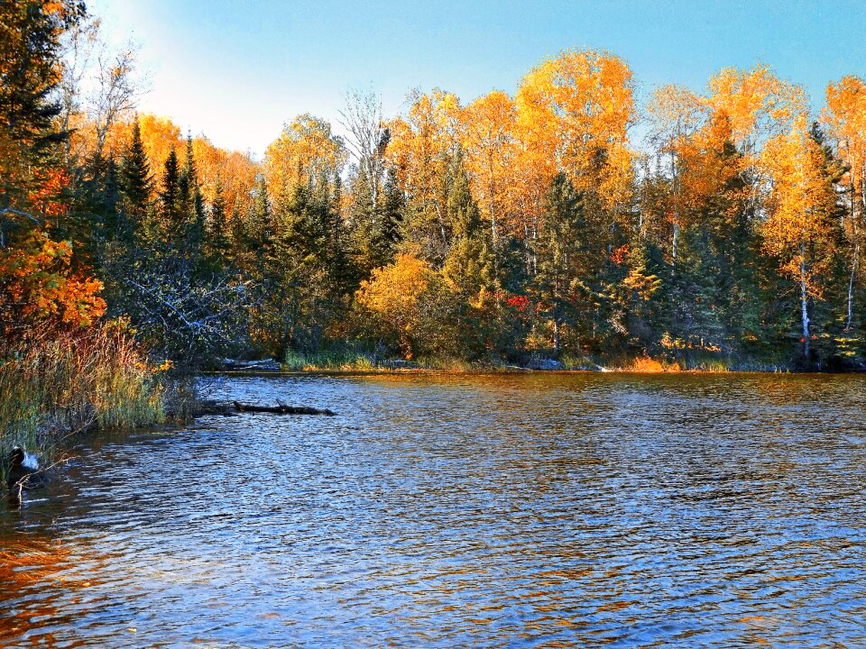 Wilderness nature landscape