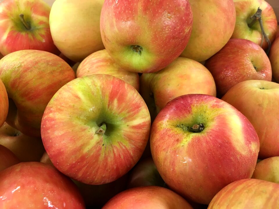 Fruit produce agriclture