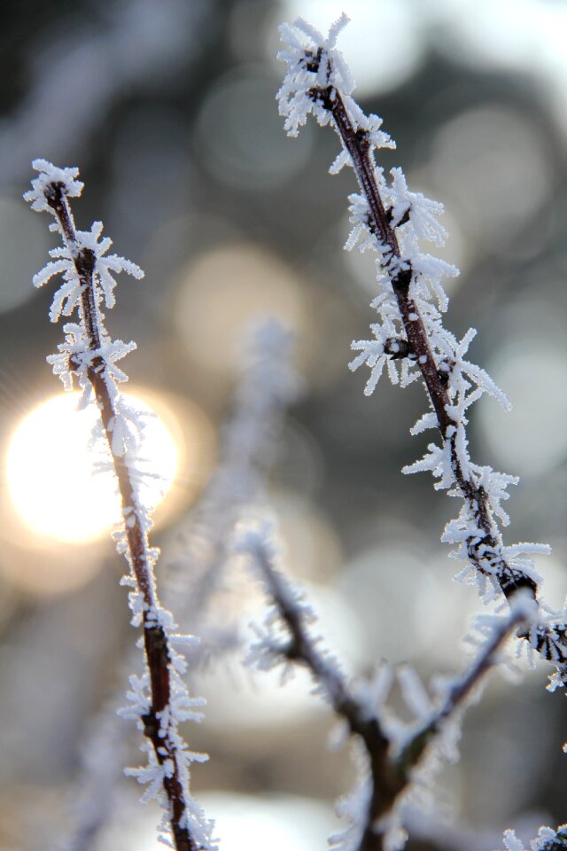 Cold background christmas time