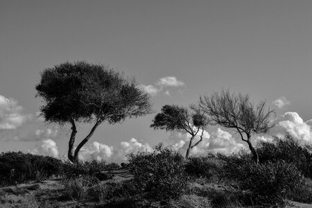 Landscape scenery sky