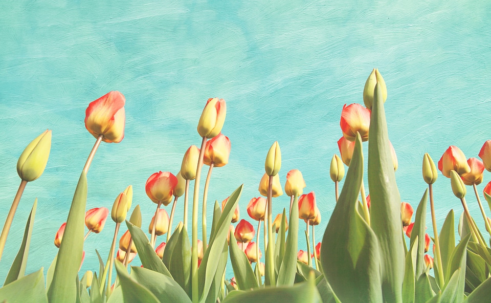 Painting fine art vintage