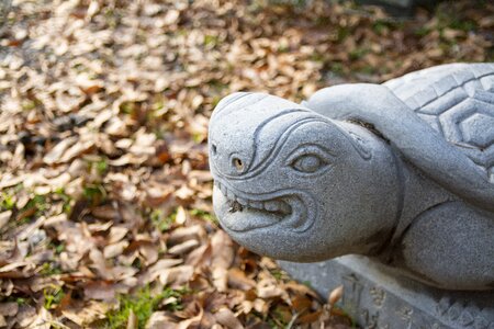 Korean traditional forbidden city glyph