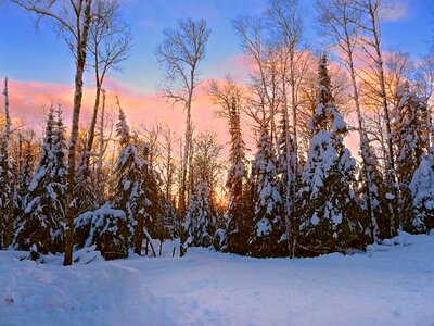 Winter nature sunrise photo