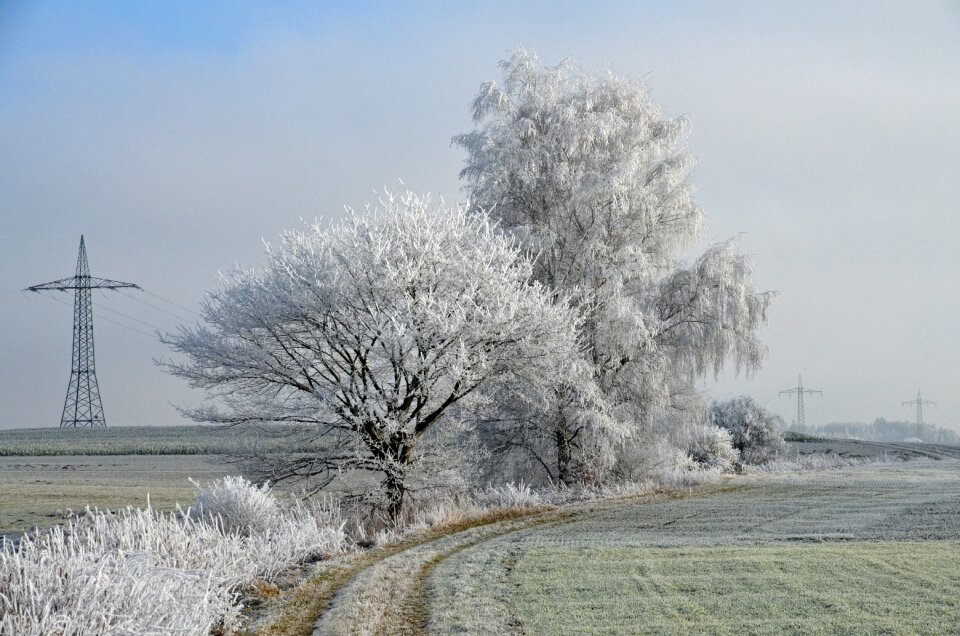 Cold frost hoarfrost