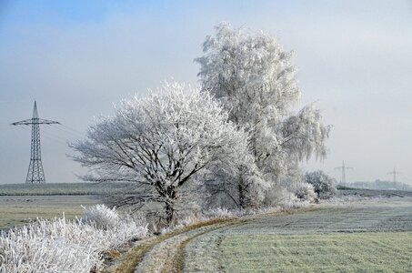 Cold frost hoarfrost photo