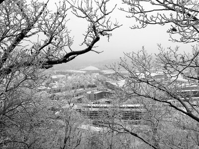 Black and white snow view photo