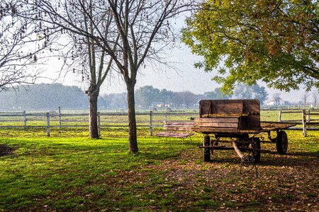 Ranch autumn fall