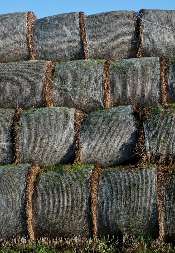 Agriculture hay harvest