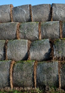Agriculture hay harvest